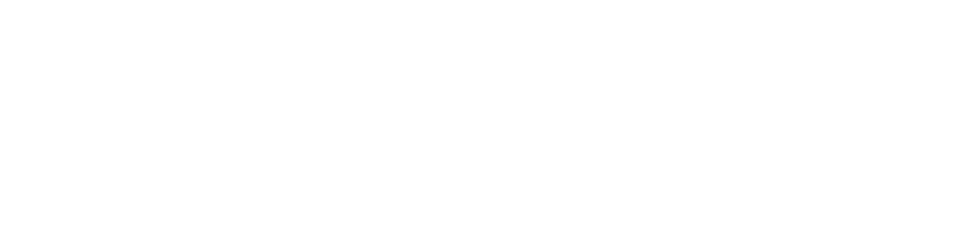 Navicam